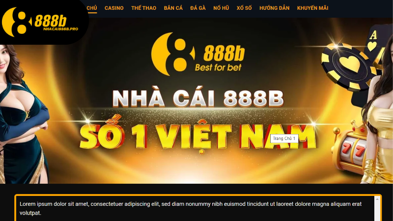 gioi-thieu-chung-ve-888b---san-choi-truc-tuyen-hang-dau-ve-ca-cuoc